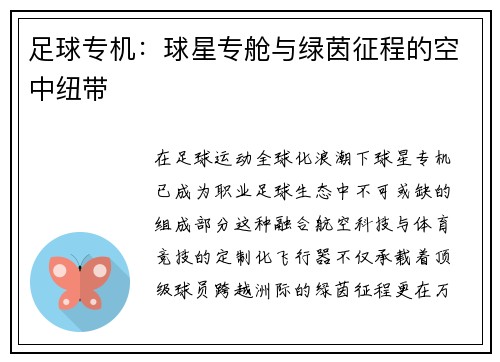 足球专机：球星专舱与绿茵征程的空中纽带