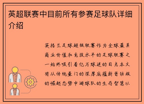 英超联赛中目前所有参赛足球队详细介绍